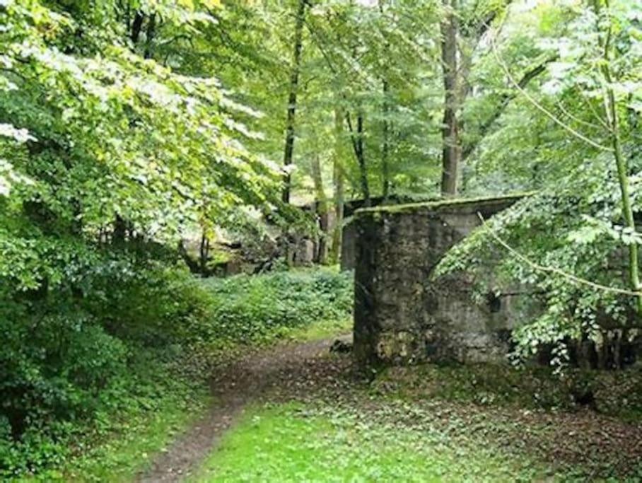 Gite Cosy Pour 2 A 4 Personnes, Village Proche Mulhouse Burnhaupt-le-Bas 외부 사진