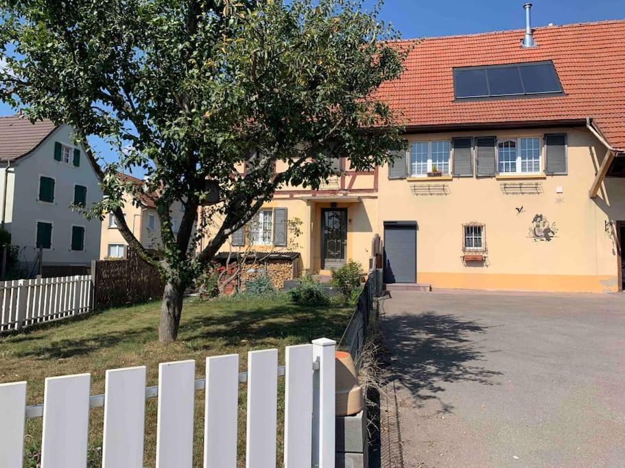Gite Cosy Pour 2 A 4 Personnes, Village Proche Mulhouse Burnhaupt-le-Bas 외부 사진